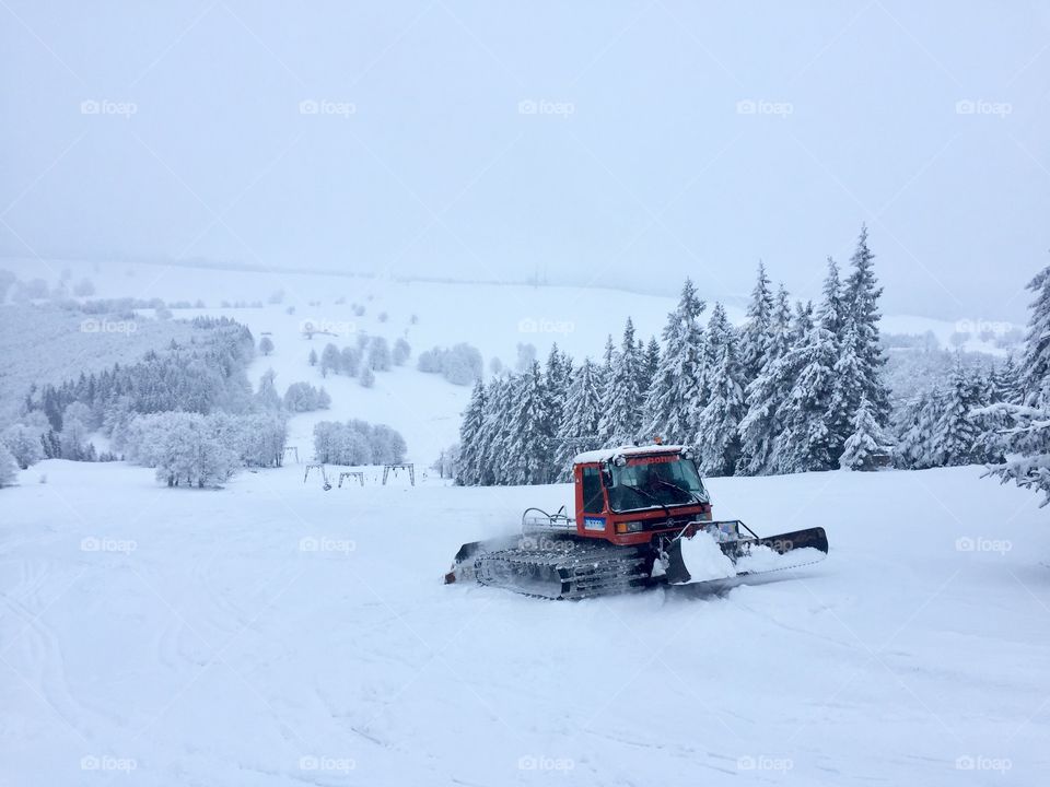 Snow, Winter, Cold, Snowy, Weather