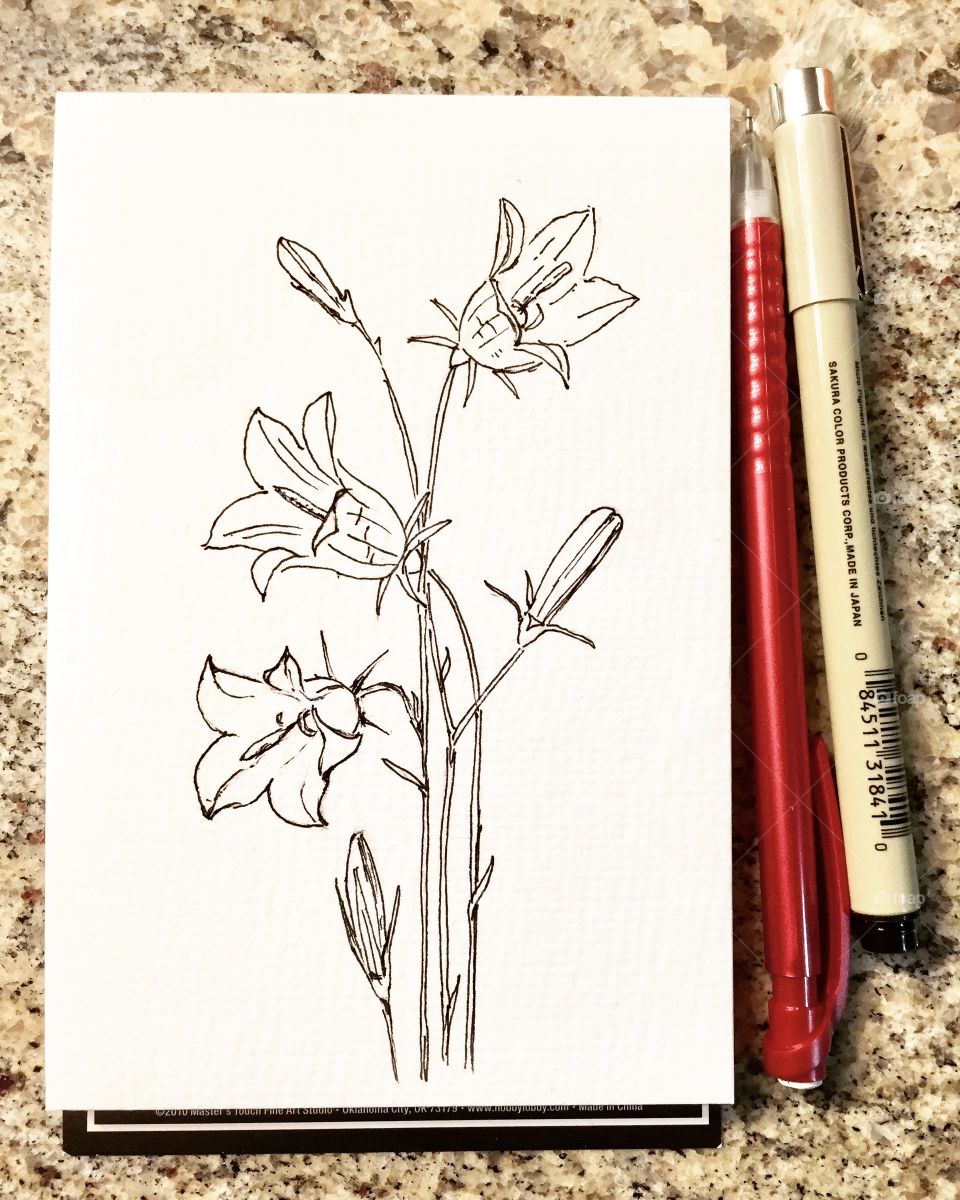 Drawing of Flowers 