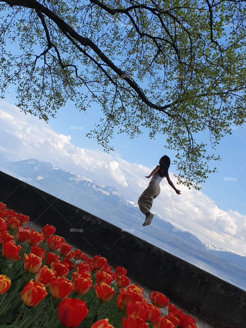 Felicidade em poder contemplar essa natureza!