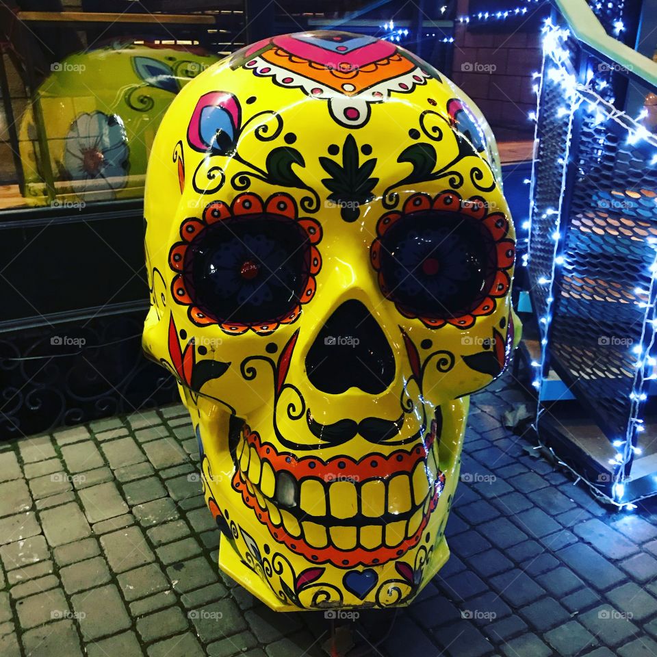 Череп с Америки 