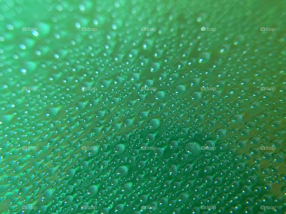 Water drops on green background 