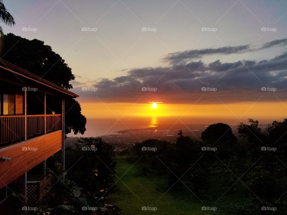 Sunset on a coffee farm