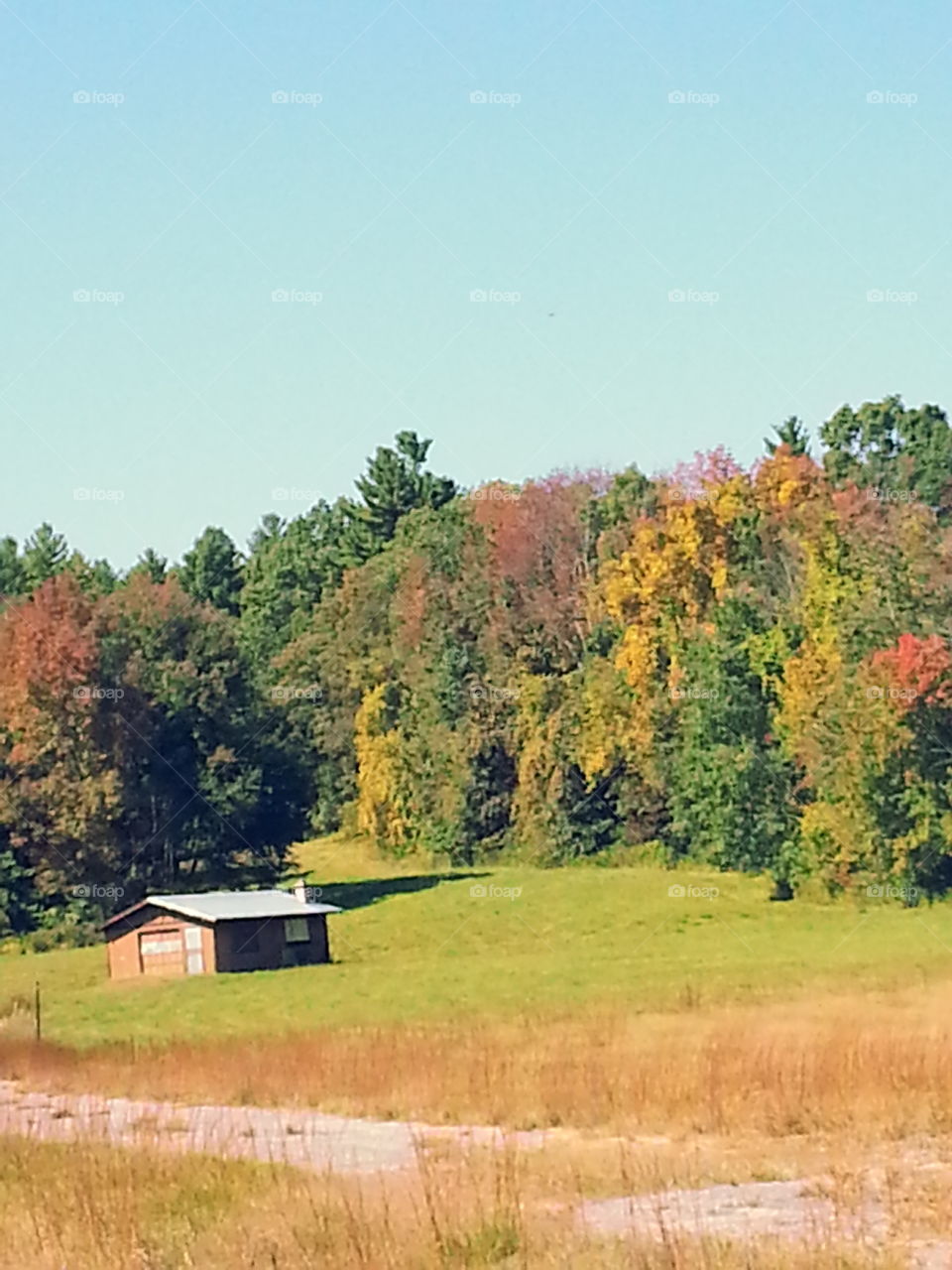 Enjoying autumn days