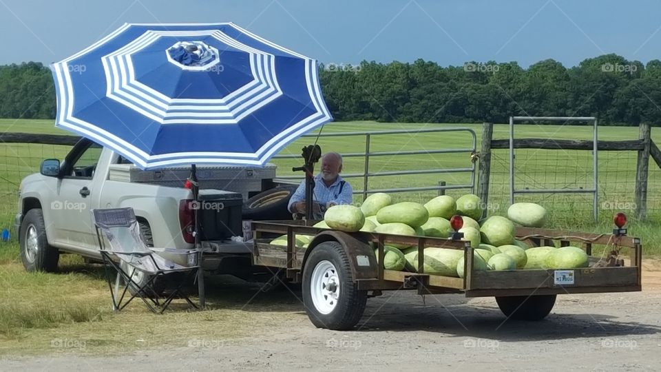 roadside watermelon stand