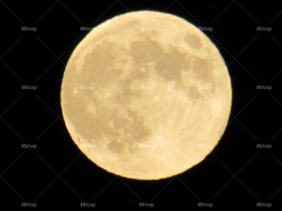 Beautiful Closeup high quality photo of a full moon taken in California