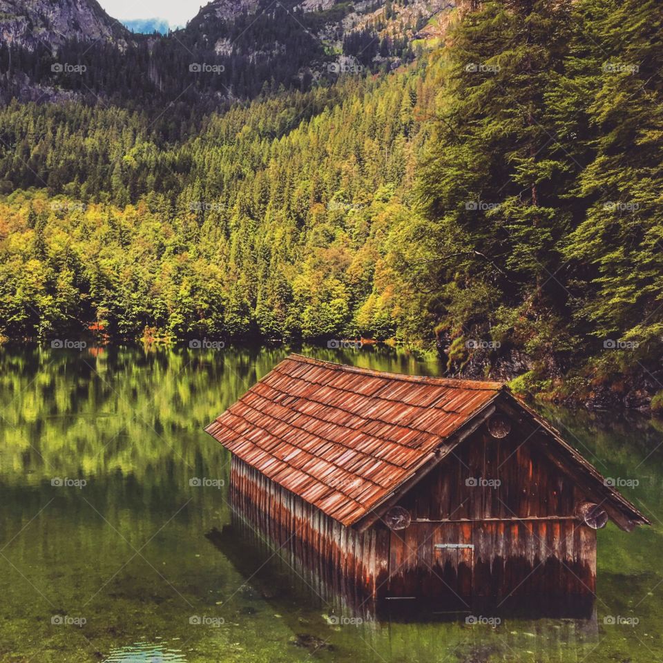 The house in the lake