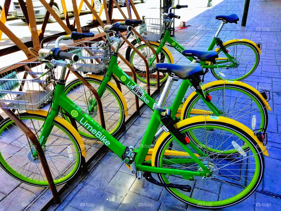 BIGGEST LITTLE CITY IN THE WORLD