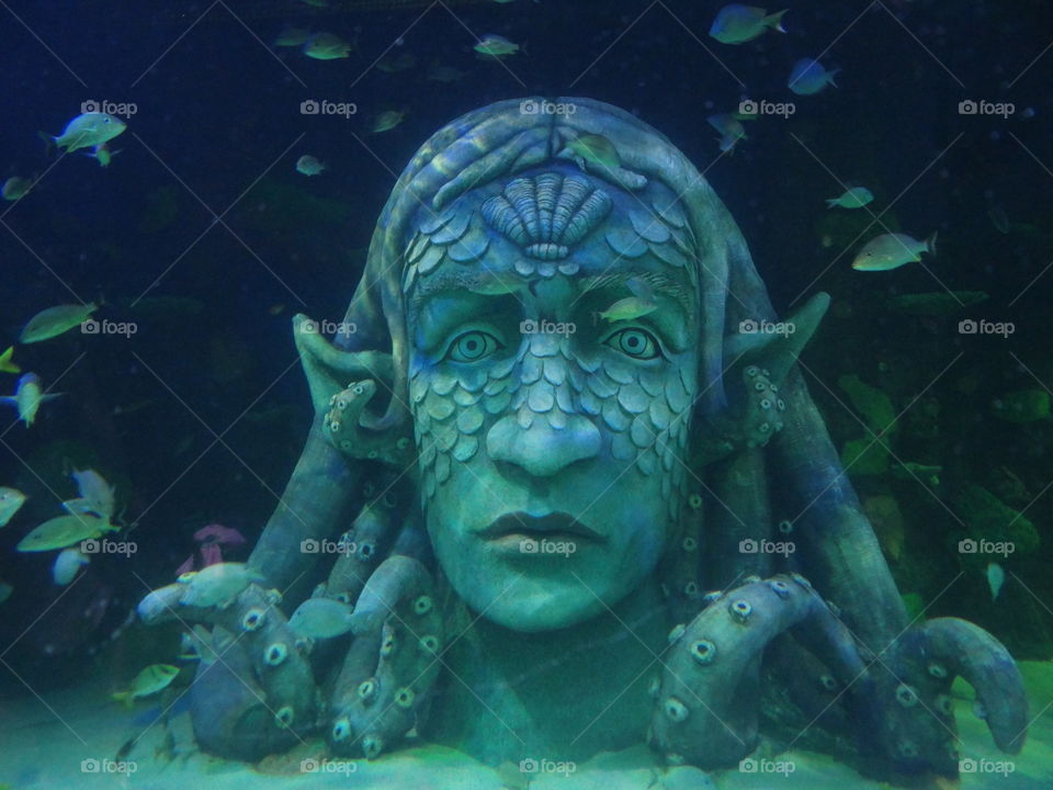 Aquarium. One of the giant tanks in the aquarium we visited. 