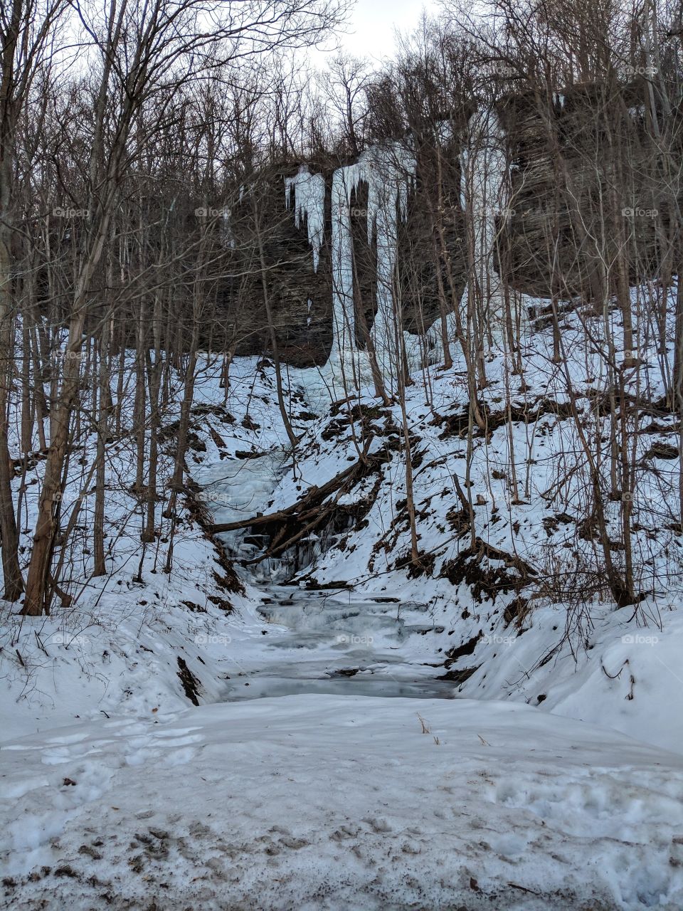 frozen upstate NY