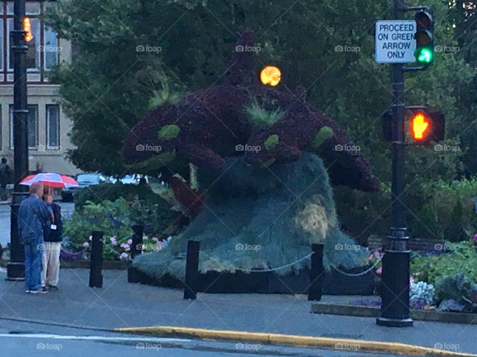 British Columbia Adventure 