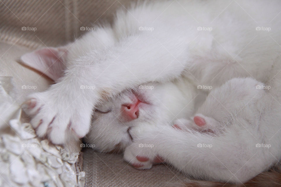 I'ZZ COUNTING TO 100 THEN I FIND YOU