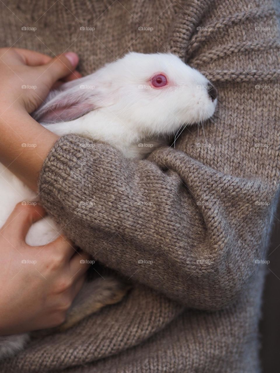 Little white fluffy rabbit in hands, happy Easter concept 