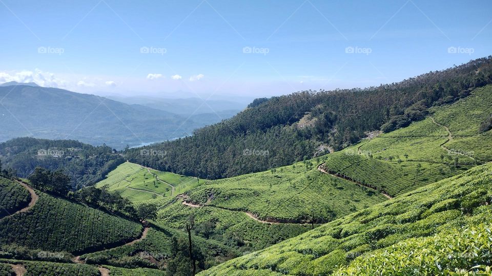 “Choose only one master—nature.” –