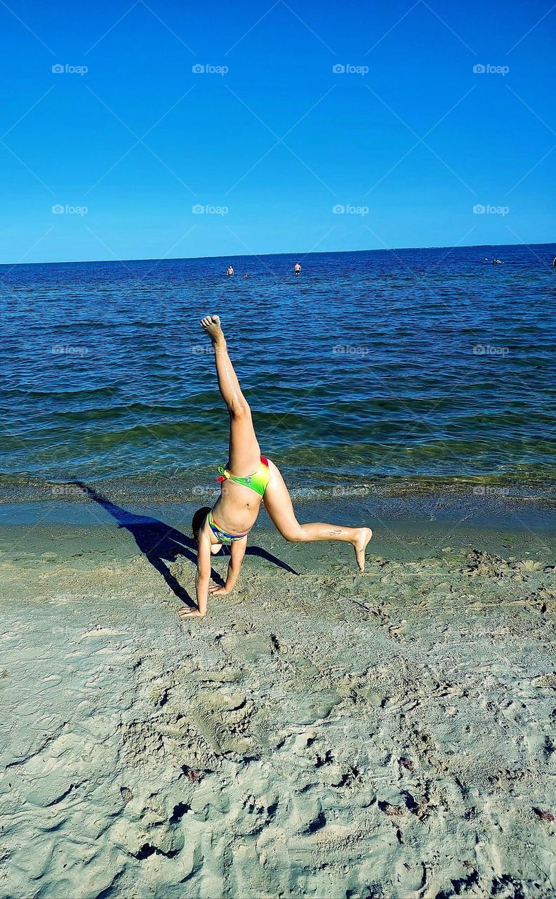 Hello August!!🪼🐬