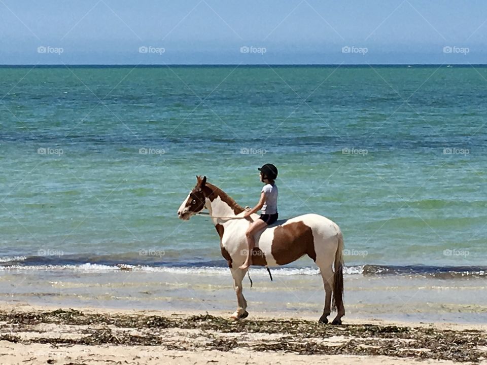 Horse and rider on beach at ocean