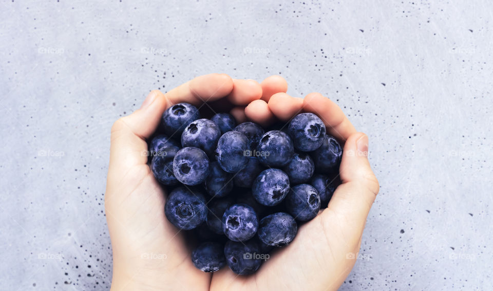Fresh blueberries fruits in the hand of child.