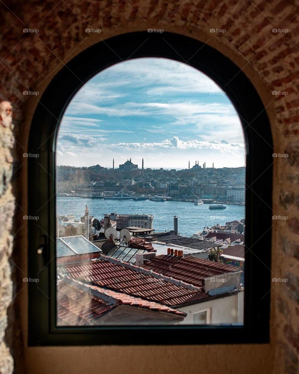 the world through the window