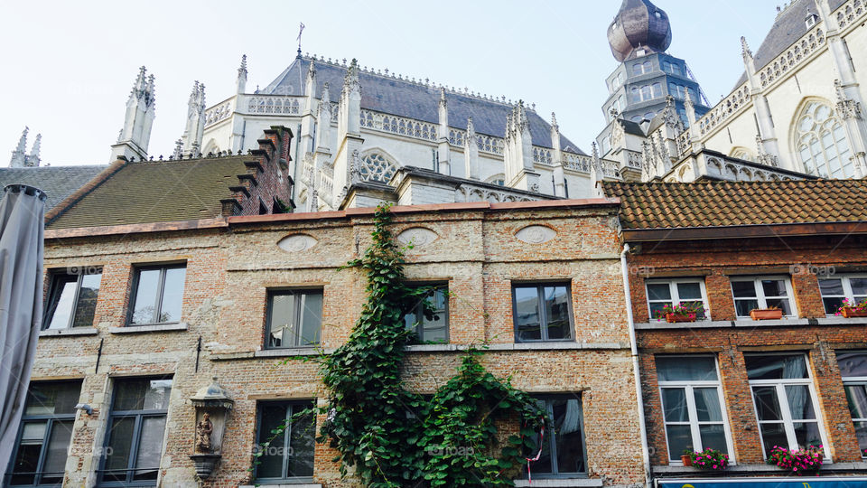 Old architecture in Antwerp