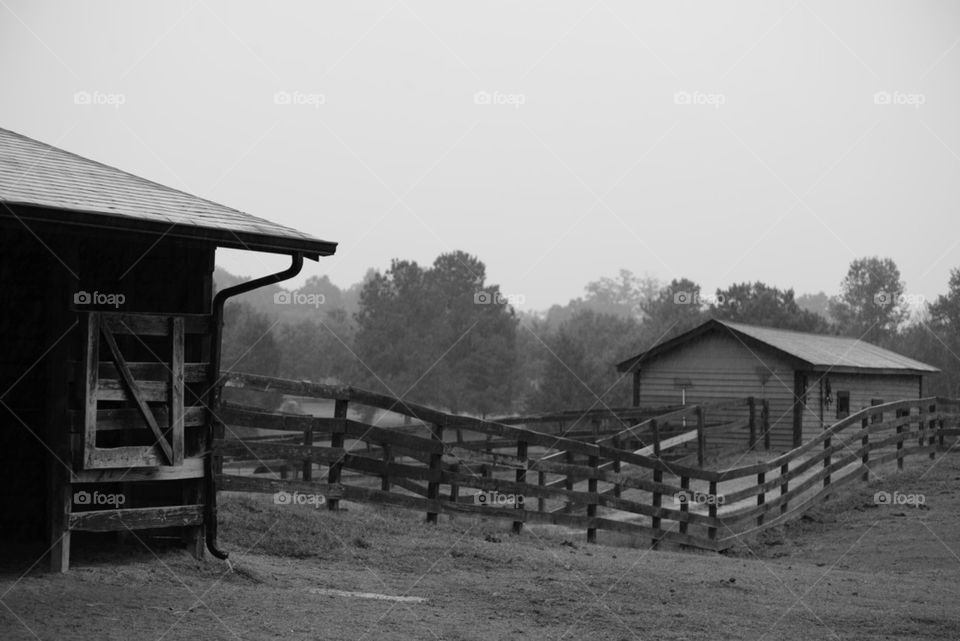 Misty stable