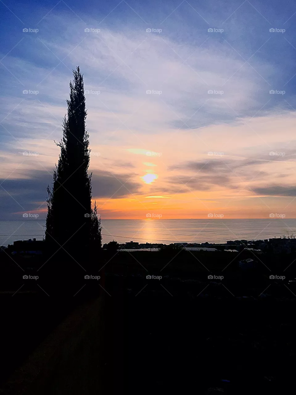 Scenics Nature 