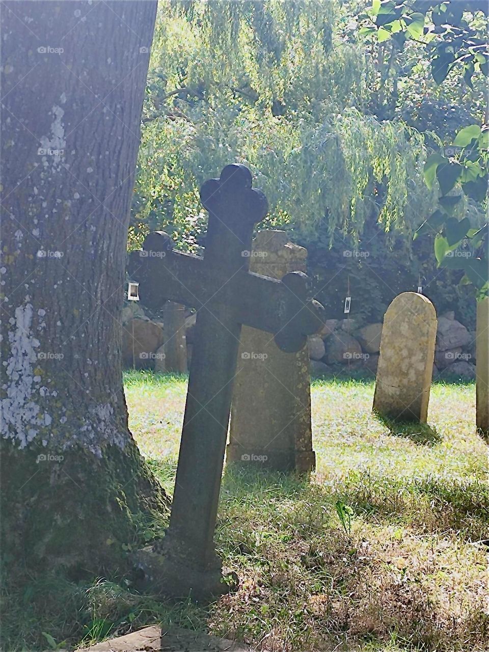 This is the wild romantic cemetery of the parish church of “Altenkirchen” on the island “Rügen” in “Western Pomerania”, Germany. Crosses and gravestones, some slightly askew cast intricate shadows onto the sunlit lawn. 2024. Hypnotic Productions