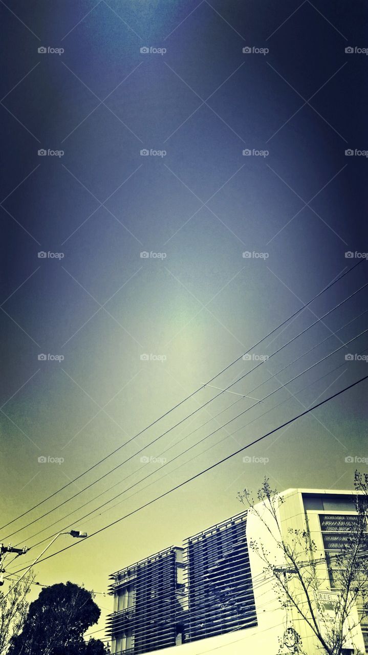 street  views. snapping and walking