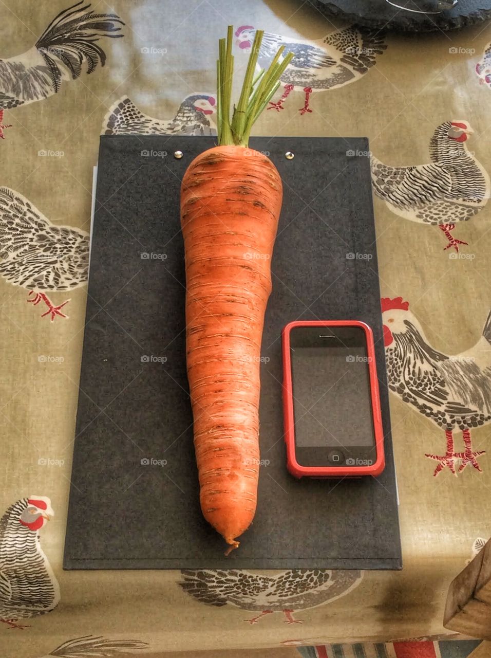 Carrot 