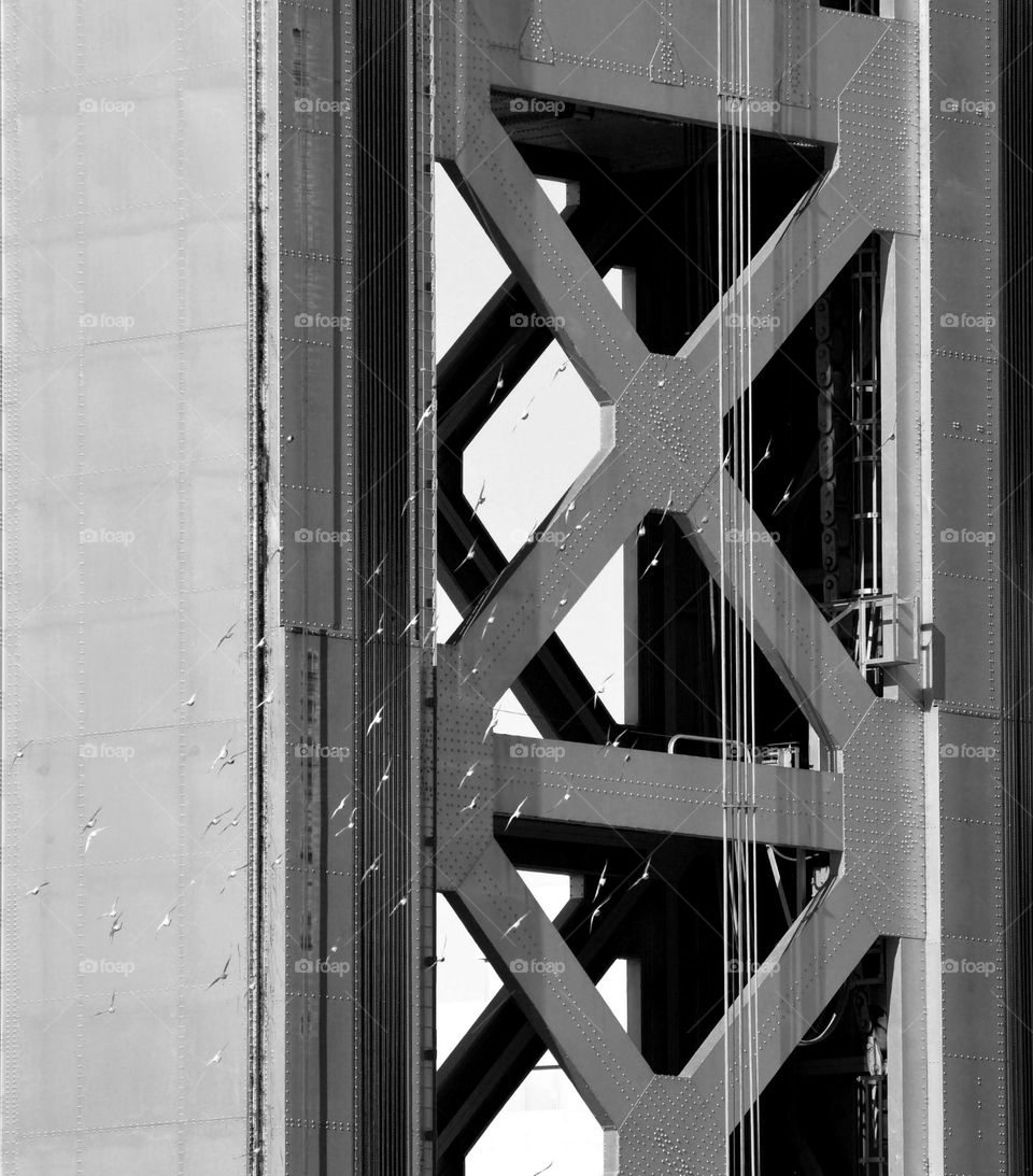 Riverfront black and white photography of a bridge in Sacramento California