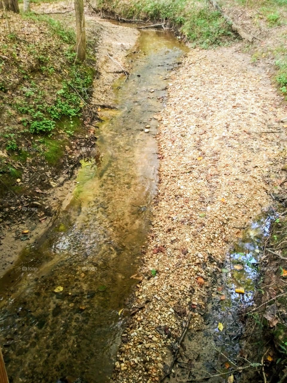 A babbling brook