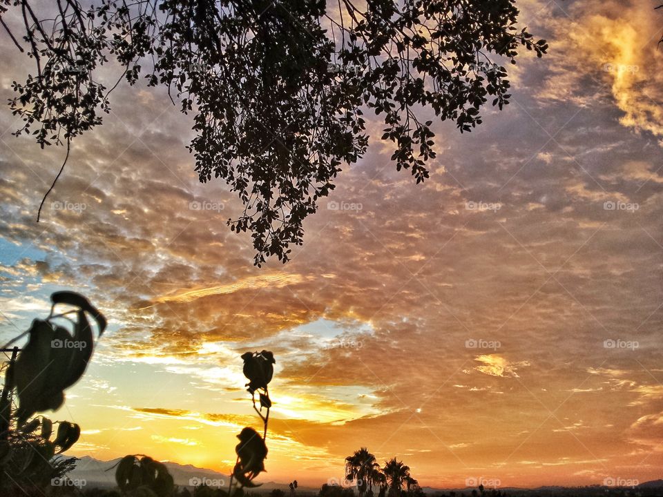 Sunrise over the valley