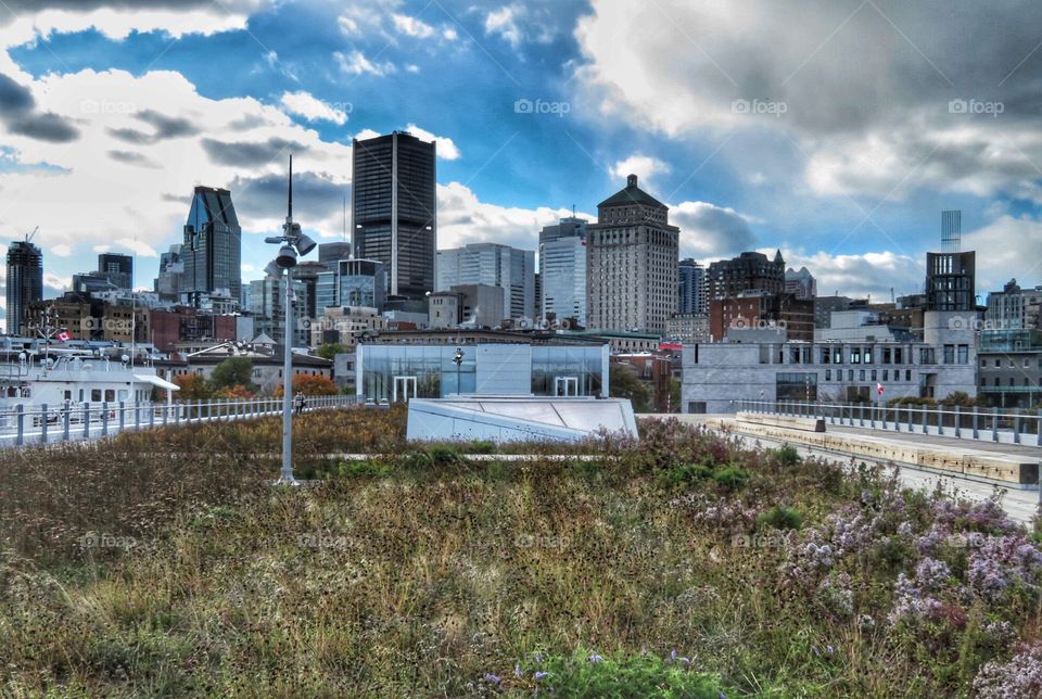 Montreal view from the Old Port