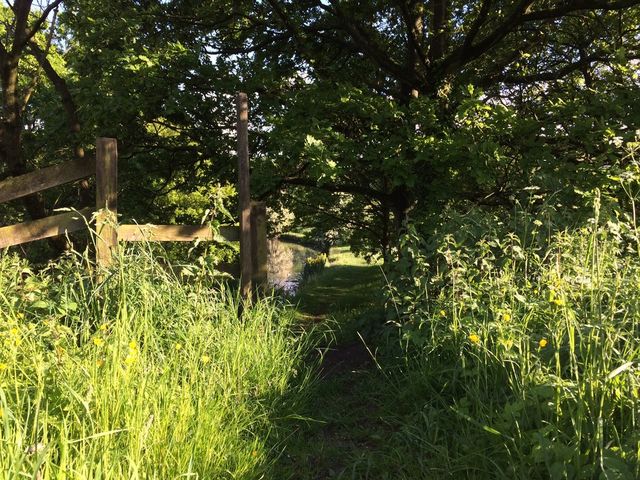 Country living 