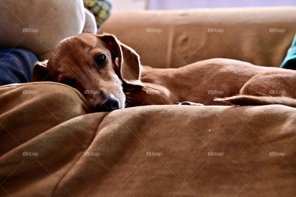 She must be bored nobody wants to play with her, everybody is concentrating on watching a movie. 