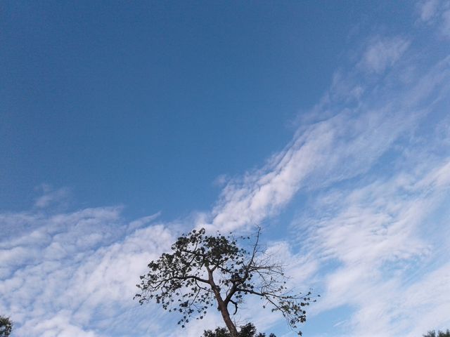 BBB.one fine midday .. looking friendly sky nature ..was extradnary view..it's wonderful shot...