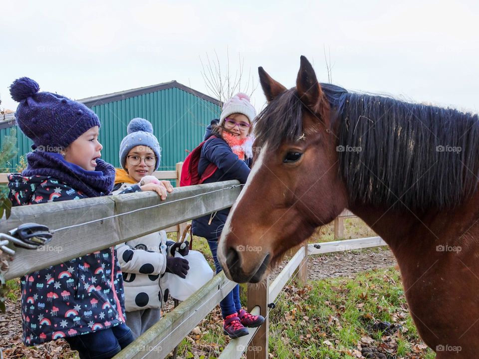 Three Caucasian girls are looking at a horse in a corral and one is afraid of it, close-up view from the side. Contraside concept.