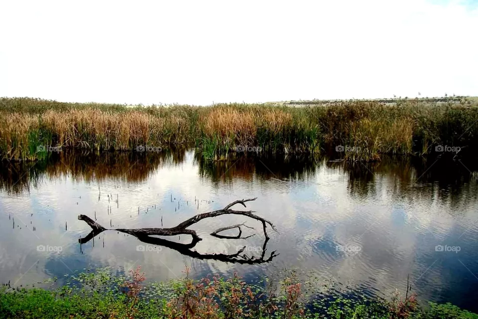 Clouds in water