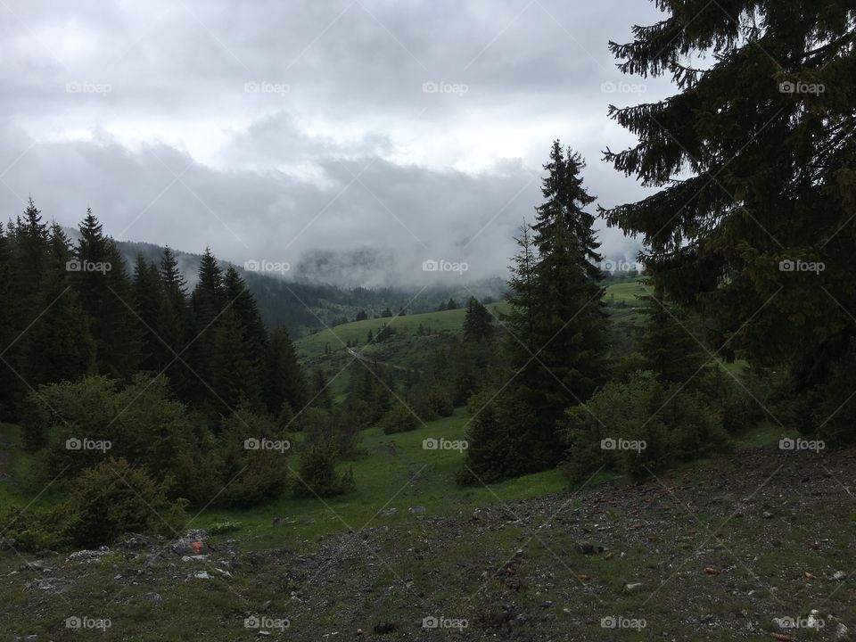 Rhodope mountains scape