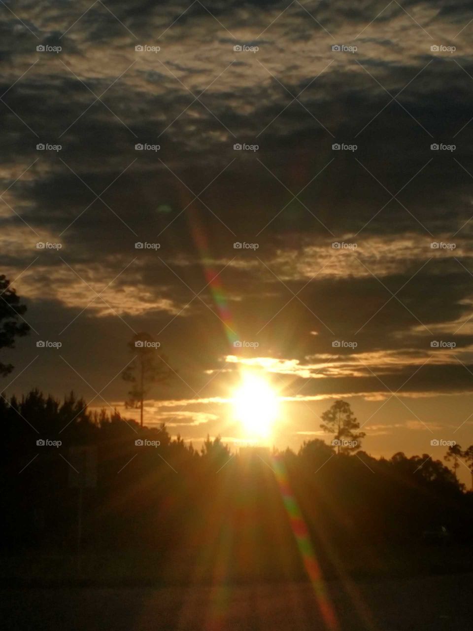 beautiful Florida sunset sky