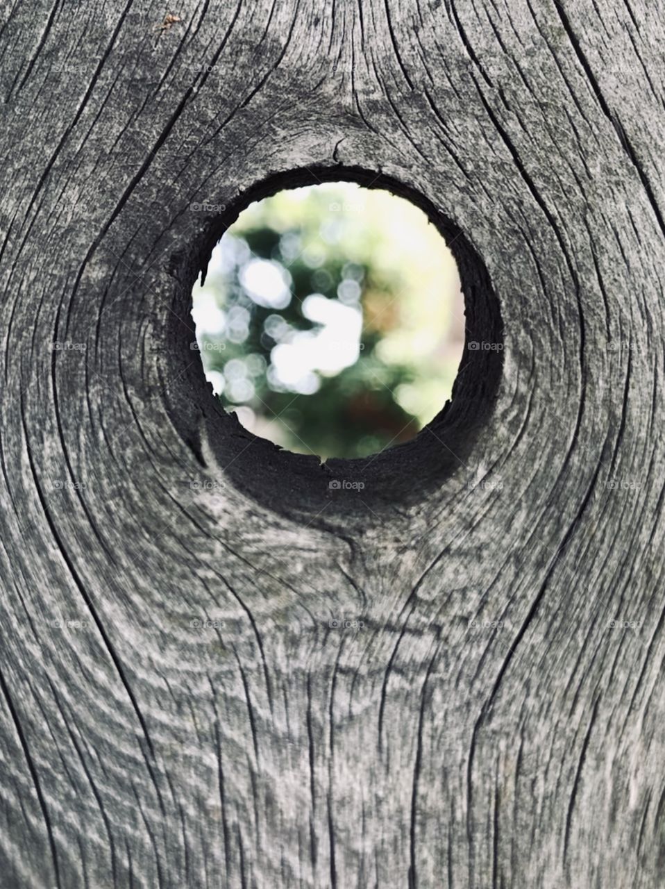 Hole through a board of wood
