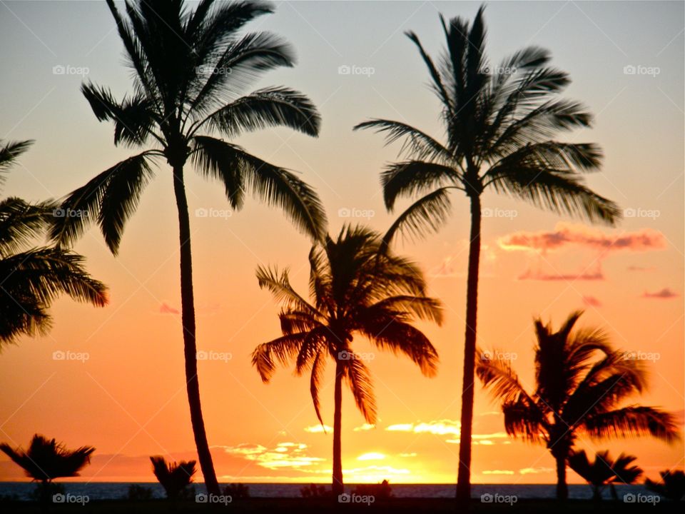 Hawaiian Sunset