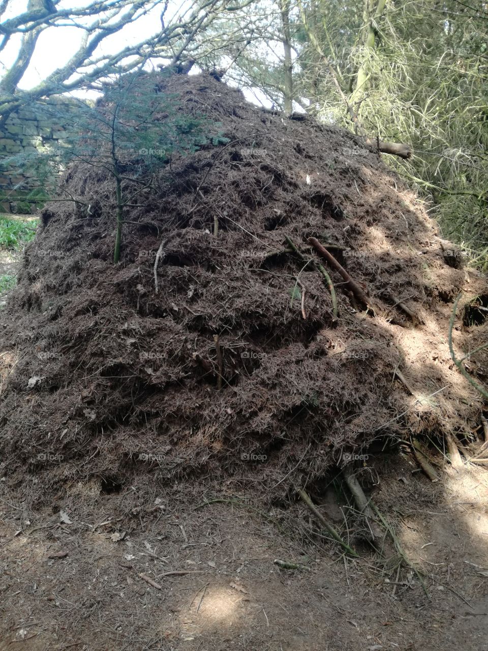 mound man made nature