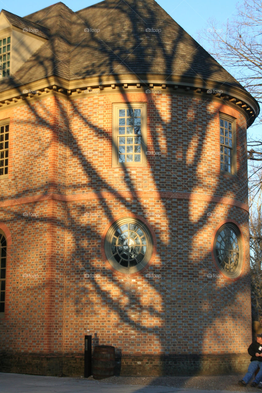 Tree shadow 