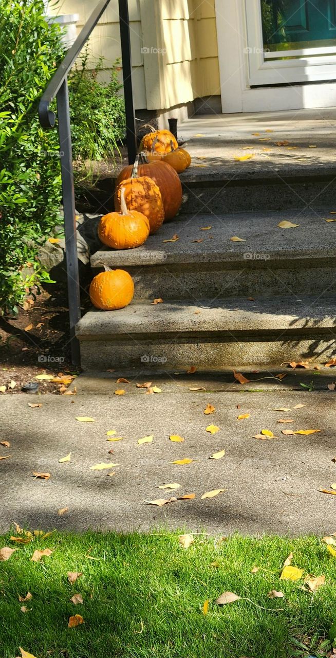 a yellow house in a suburban Oregon neighborhood with orange pumpkin decorations on the front steps