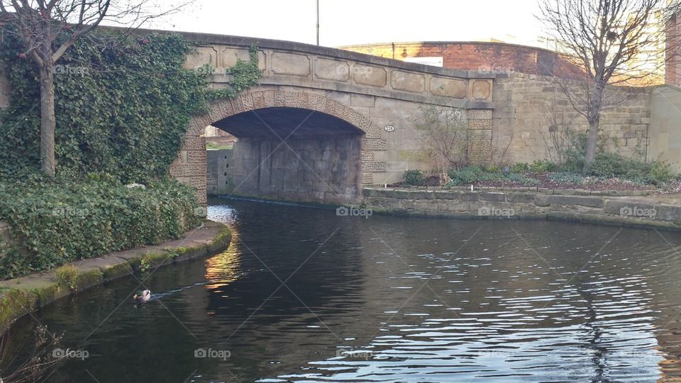 Bridge Over River Aire