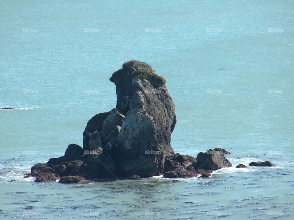 Sea rock