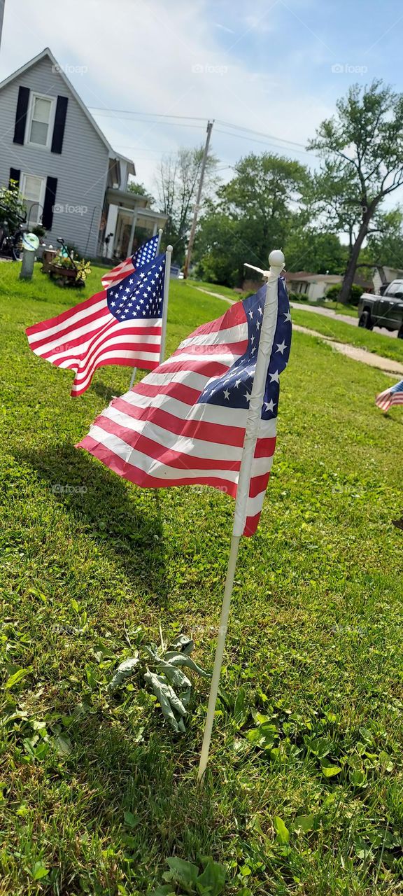 us flags blowing in the wind