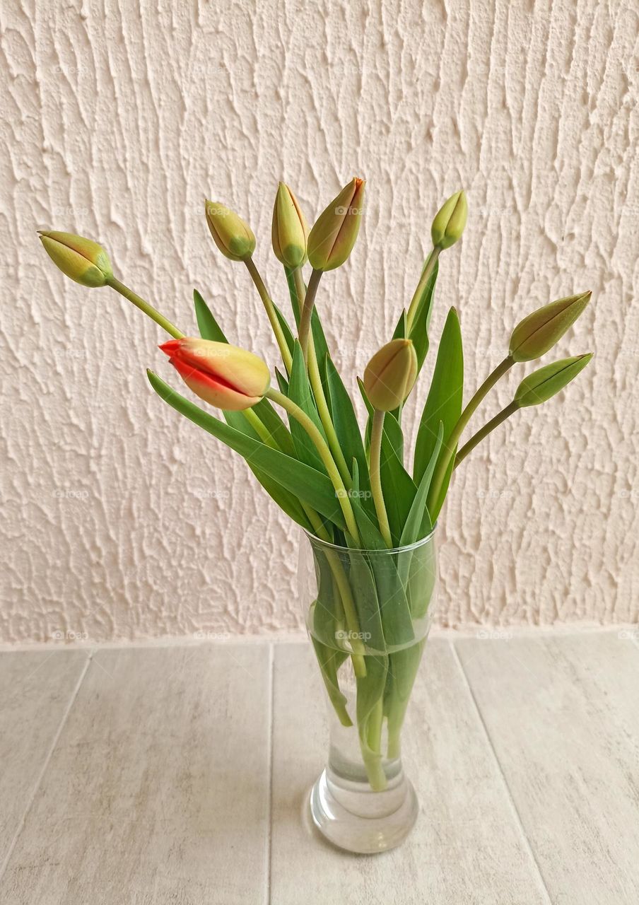 spring flowers in vase on a wall background