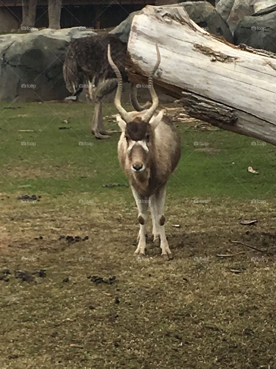 What are you looking at