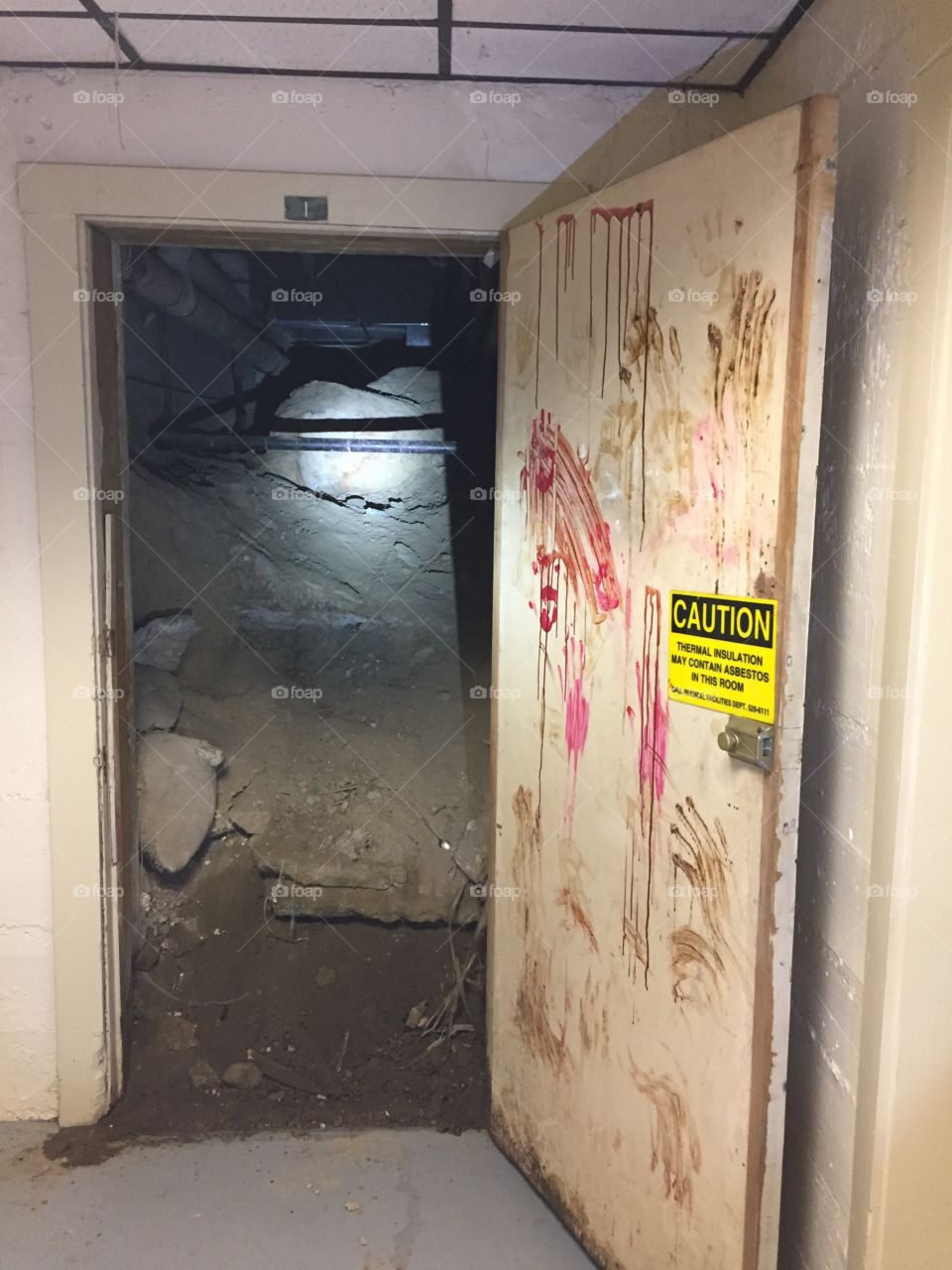 Wilson Hall Tunnel dirt and bones