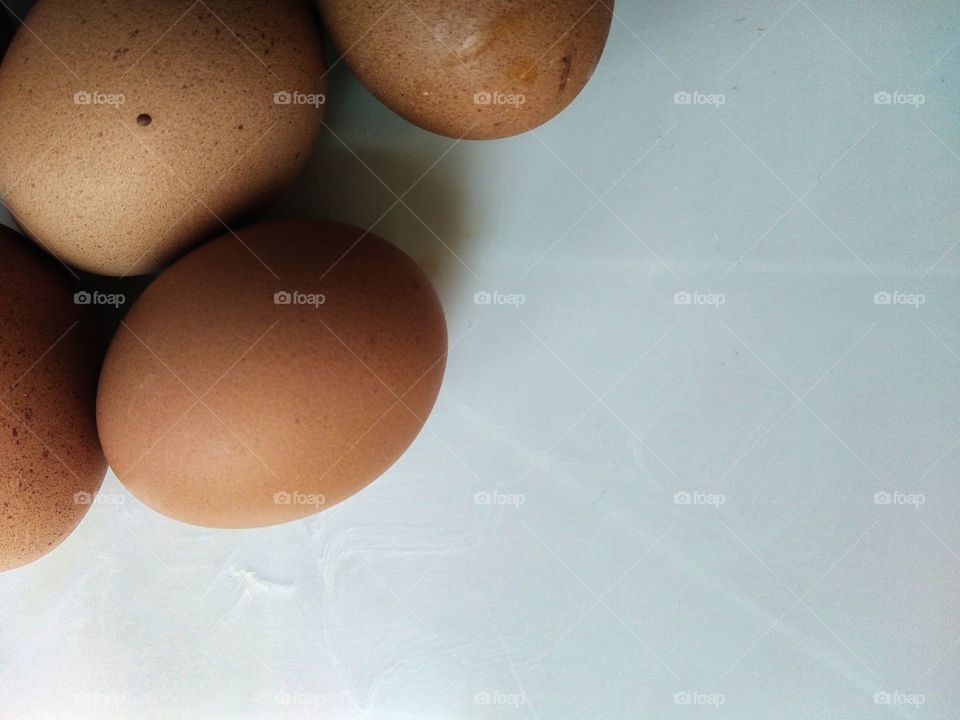 eggs